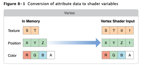 Conversion of attribute data to shader variables